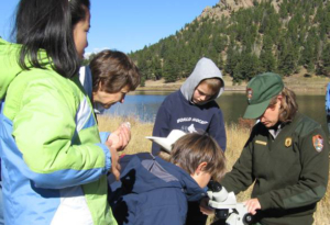 1.1.1.1 environmental education 2