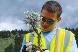 A man with a shovel holding a tree.