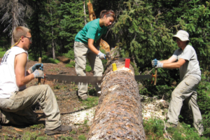 1.1.1.1 Conservation Corps 2