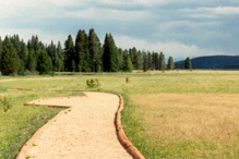 Coyote Valley Trail
