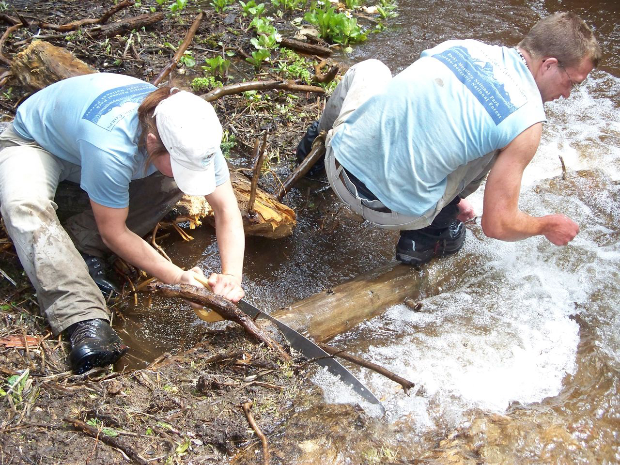 Two people cutting a fallen tree with a chainsaw and handsaw by a river.