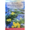 Alpine-Flowers-1000×1000 Alpine Wildflowers of the Rocky Mountains and rocky mountains.