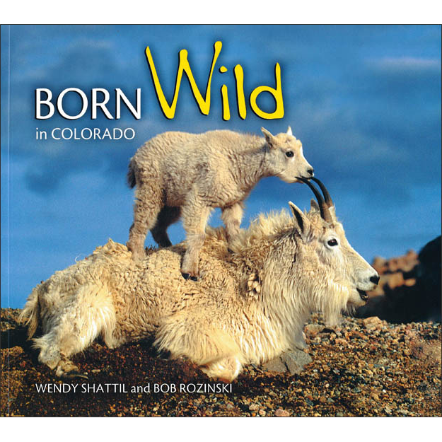 Born_Wild Born Wild in Colorado.