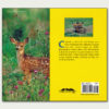 Born Wild in Colorado (Back) A picture of Born Wild in Colorado and a fawn in a field.