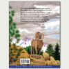 Cimarron (Back) The back cover of a book with Cimarron the Bighorn Sheep on a rock.
