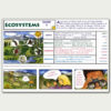 Rocky Kids Explorer Newspaper (Back) A Rocky Kids Explorer Newspaper with the word ecosystems on it.