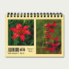 Rocky_Mountain_Wildflower_Pocket_Guide_Back A Rocky Mountain Wildflowers Pocket Guide with two pictures of red lilies.