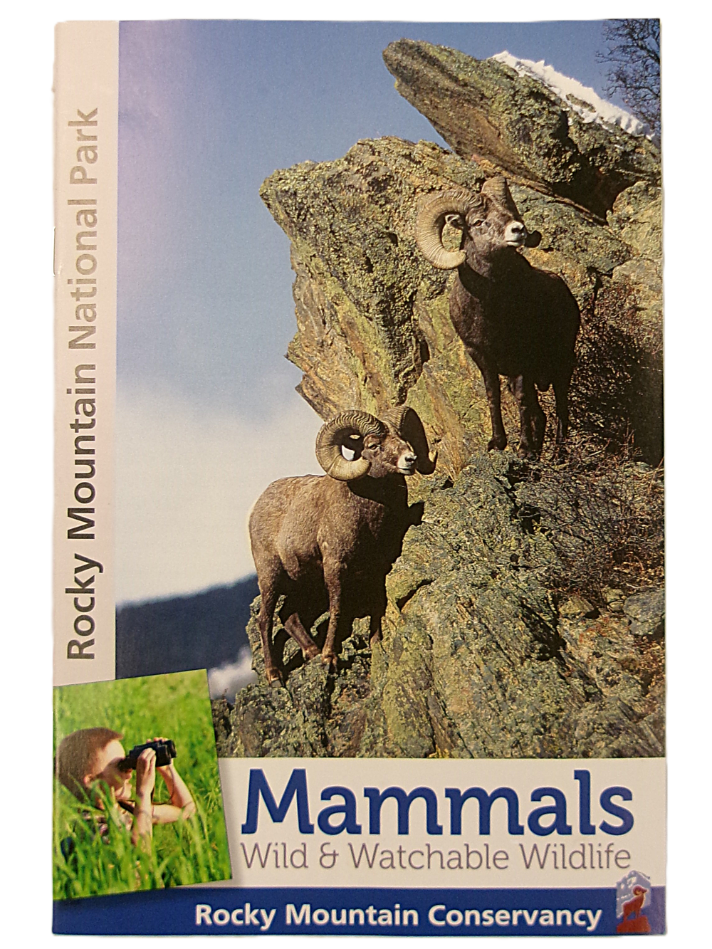 Cover of "Mammals: Wild & Watchable Wildlife," showing two bighorn sheep on a rocky slope and a person with binoculars. Published by Rocky Mountain Conservancy.