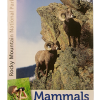 Cover of "Mammals: Wild & Watchable Wildlife," showing two bighorn sheep on a rocky slope and a person with binoculars. Published by Rocky Mountain Conservancy.