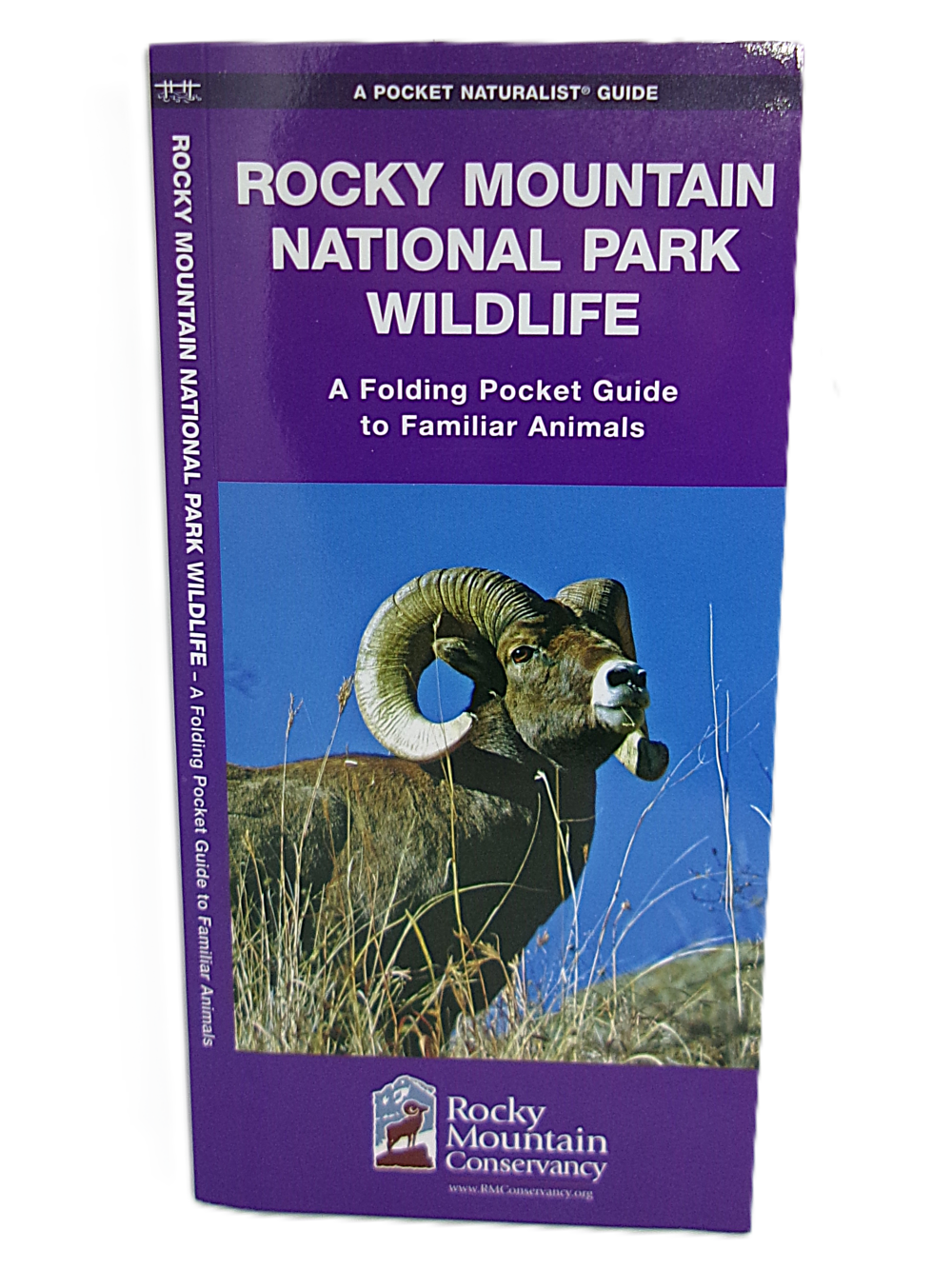 rmnp wildlife pocket guide A pocket guide titled "Rocky Mountain National Park Wildlife" features a purple cover with a photo of a bighorn sheep.