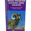 rmnp wildlife pocket guide A pocket guide titled "Rocky Mountain National Park Wildlife" features a purple cover with a photo of a bighorn sheep.