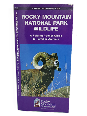 A pocket guide titled "Rocky Mountain National Park Wildlife" features a purple cover with a photo of a bighorn sheep.