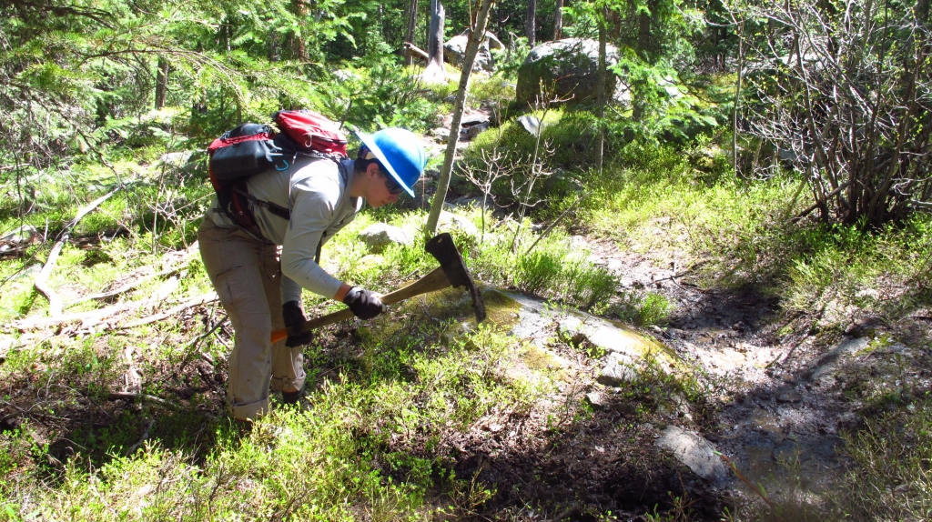 A man with a backpack in the woods.