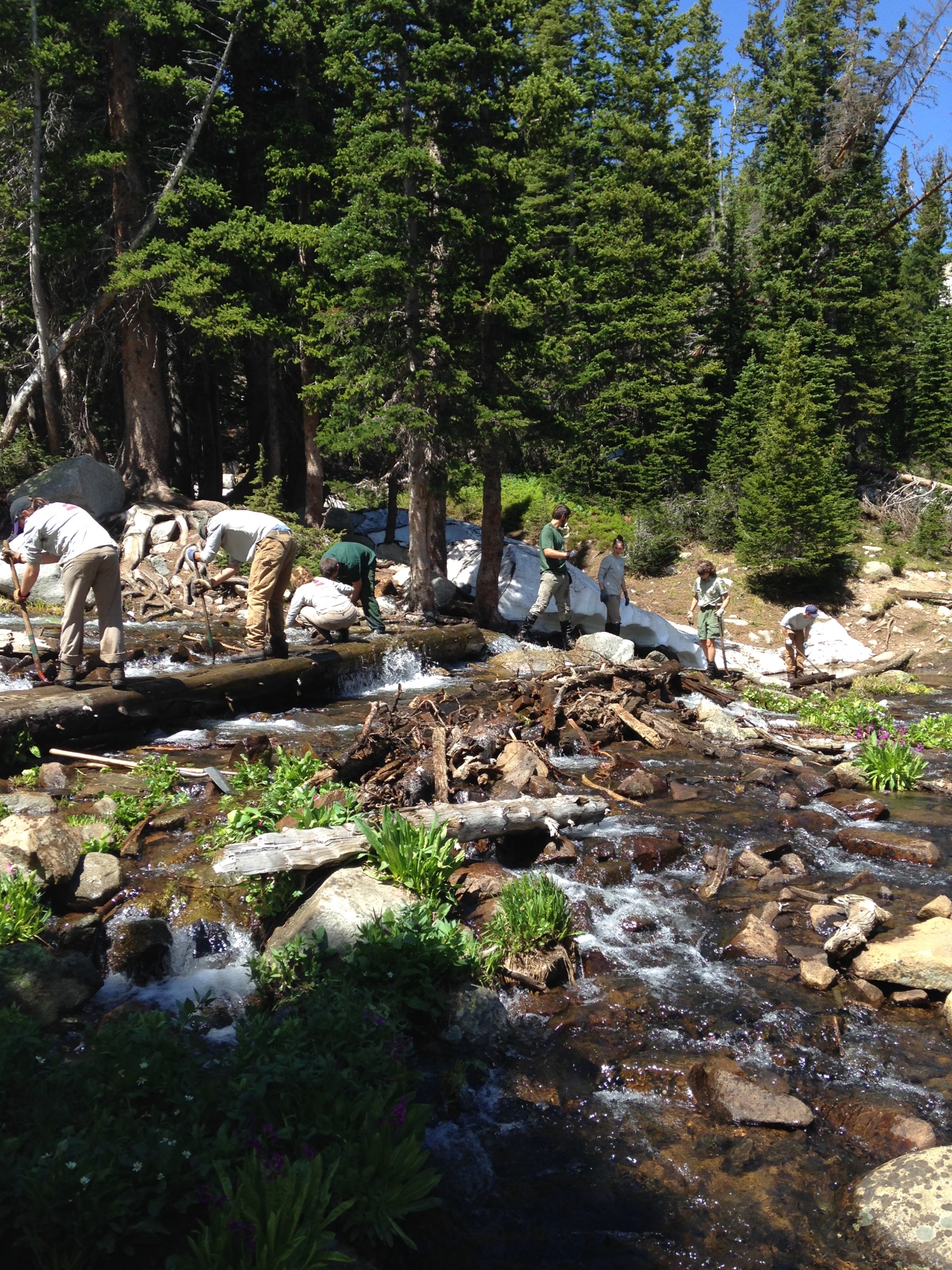 Volunteers clearing debris from a small, rocky stream