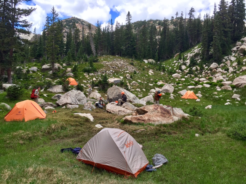 A group of tents set up in a grassy area.
