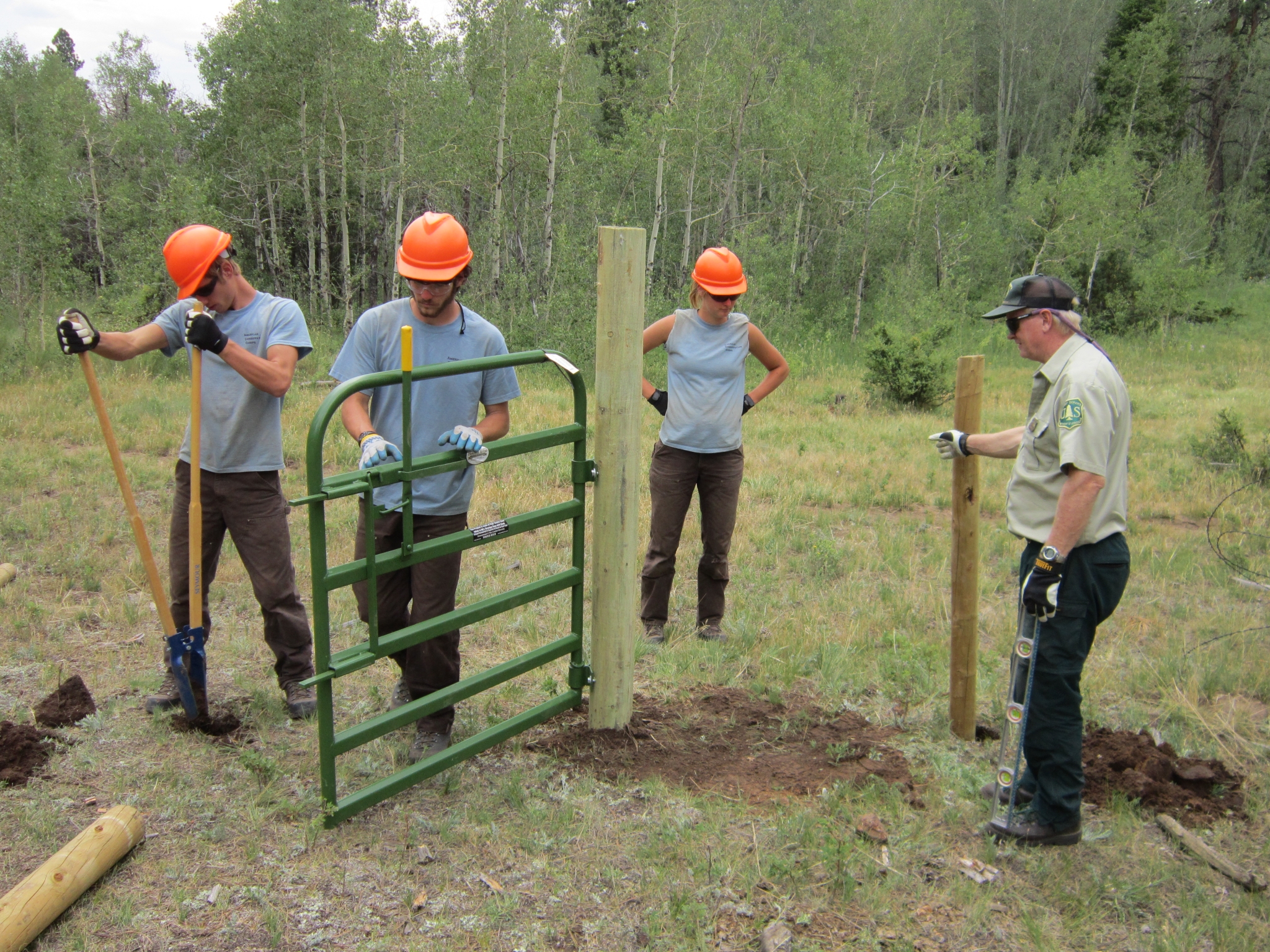 Four people installing a green metal gate in a forested area