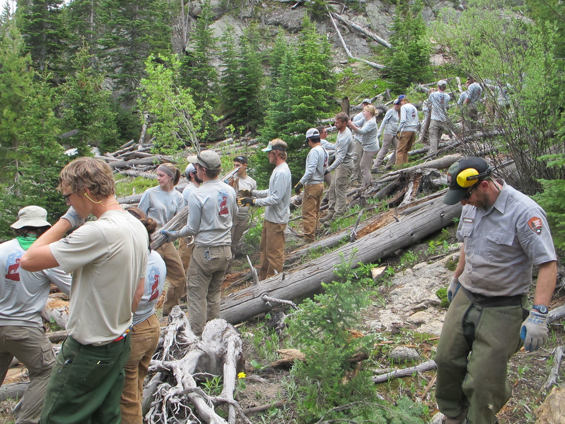 A group of forest workers in uniforms is clearing large fallen trees
