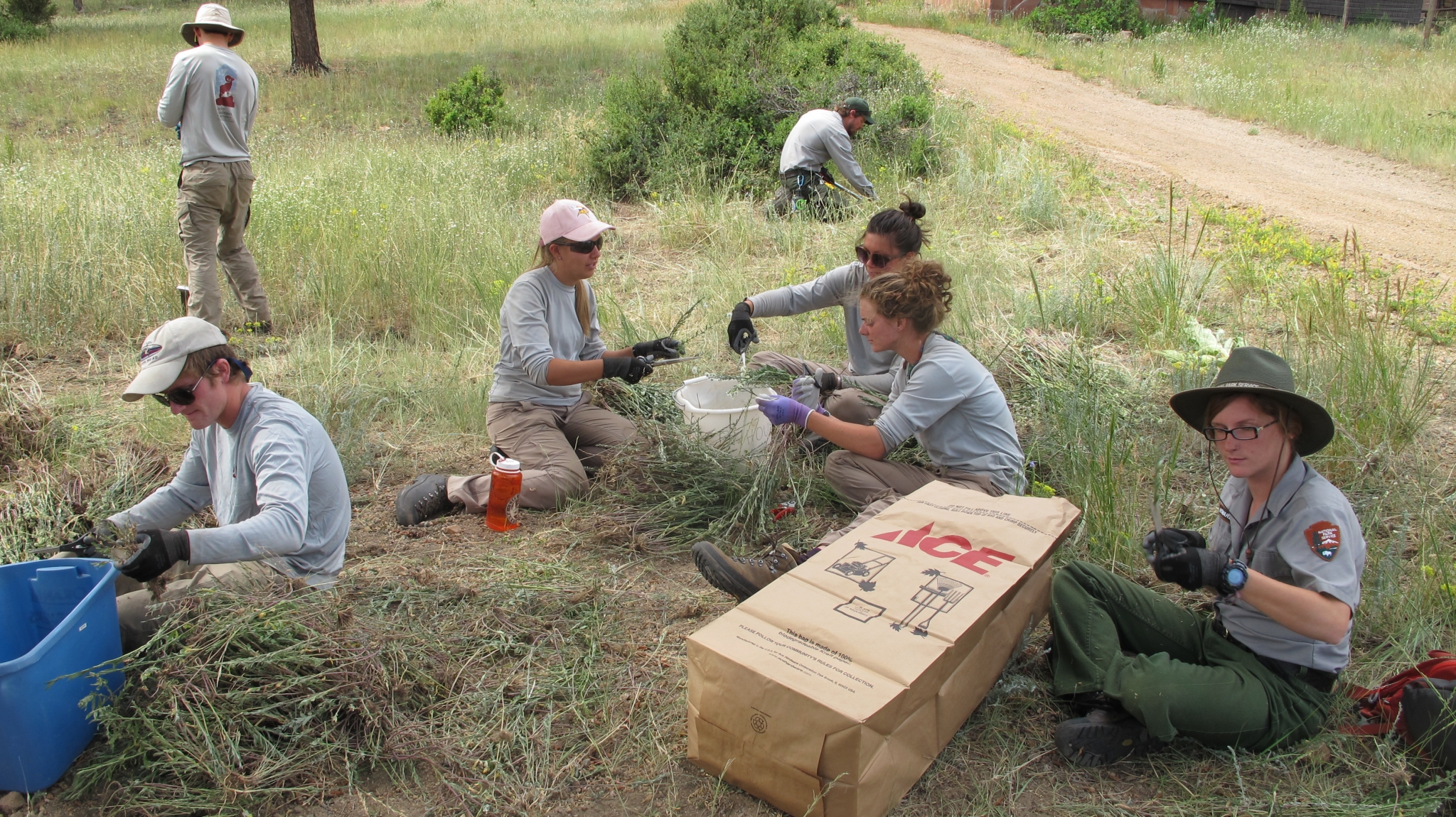 Group of field biologists collecting samples in a grassy area