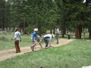 A group of people working on a trail.