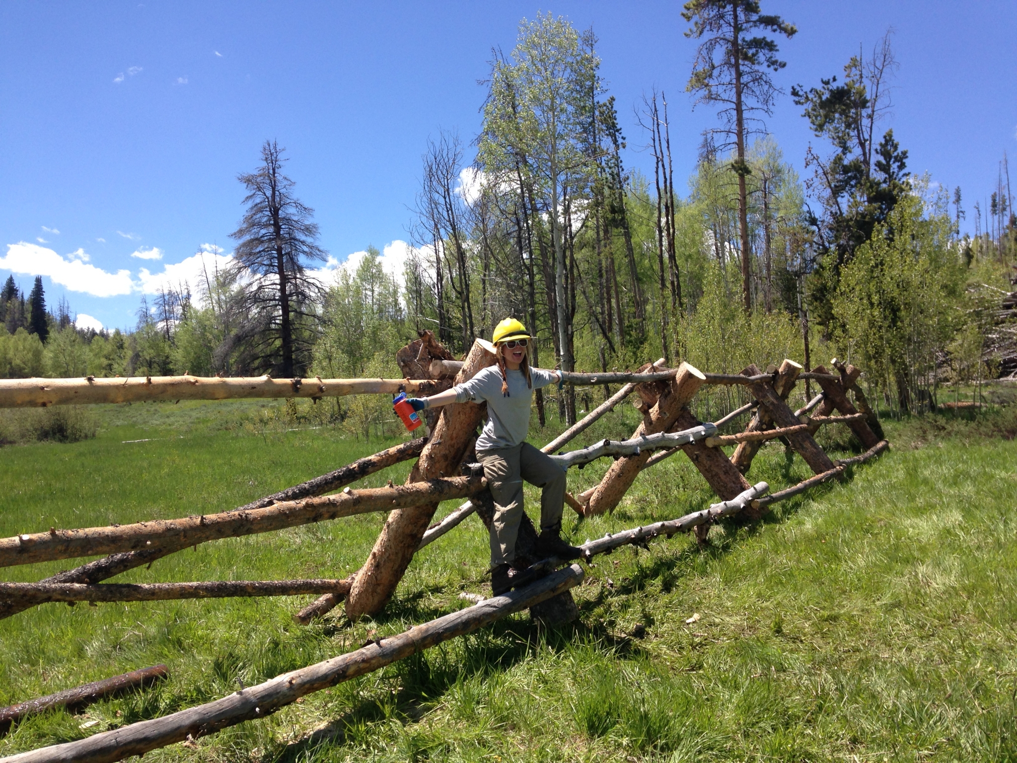 A person posing on a rustic wooden fence in a vibrant, lush green forest