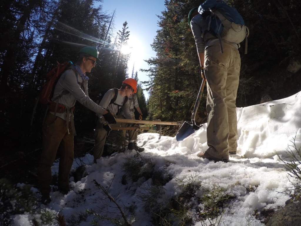 Workers using shovel to clear a snow-covered path in a forest