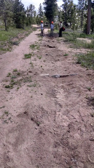 Three people standing on a sandy trail surrounded by sparse forest
