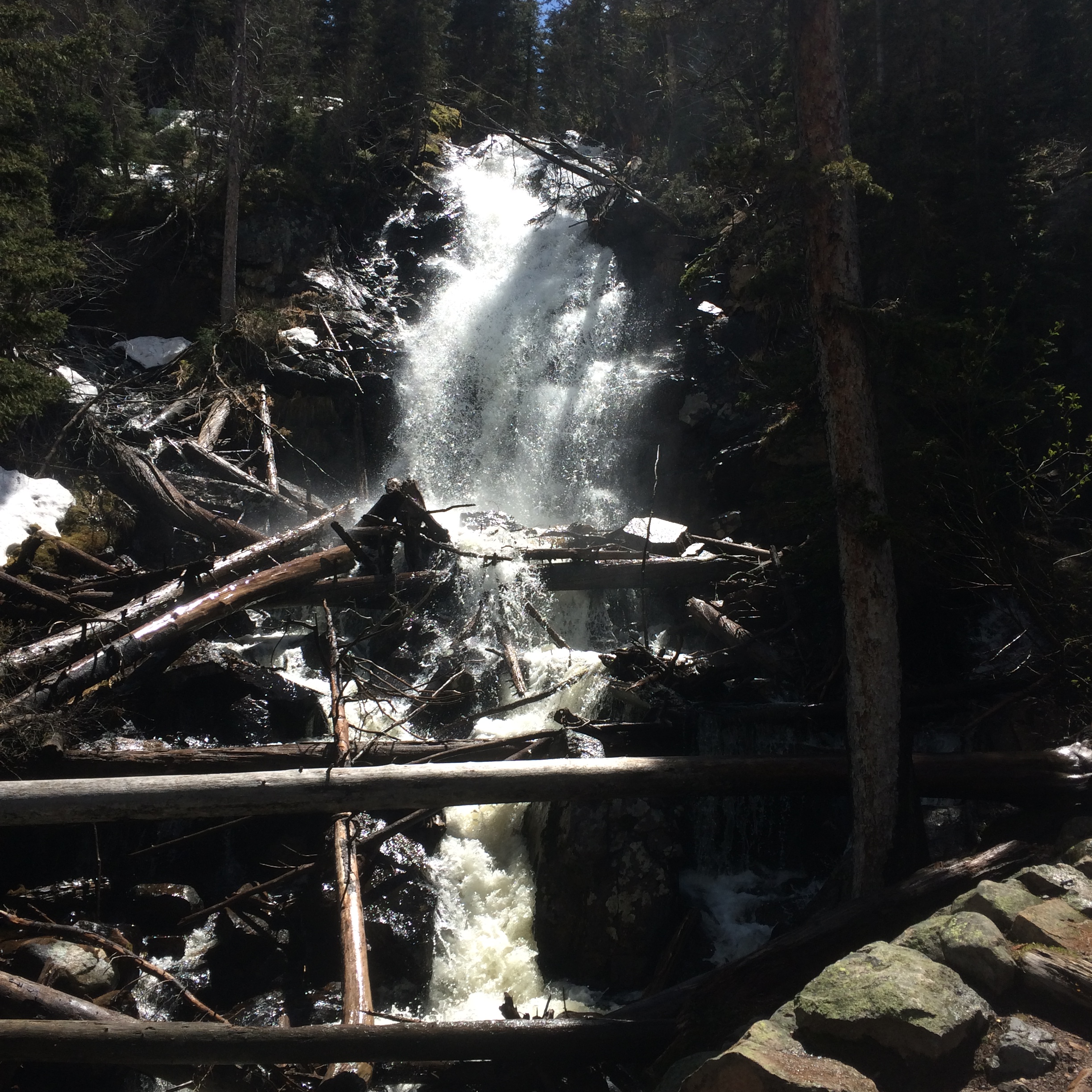 A forest waterfall cascades over a jumble of logs