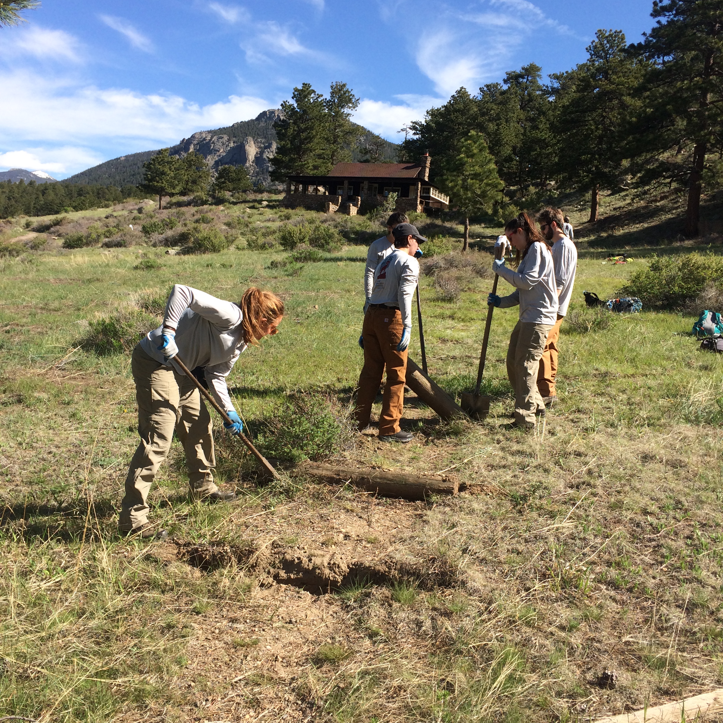 Four volunteers use shovels and a pickaxe to dig in a field