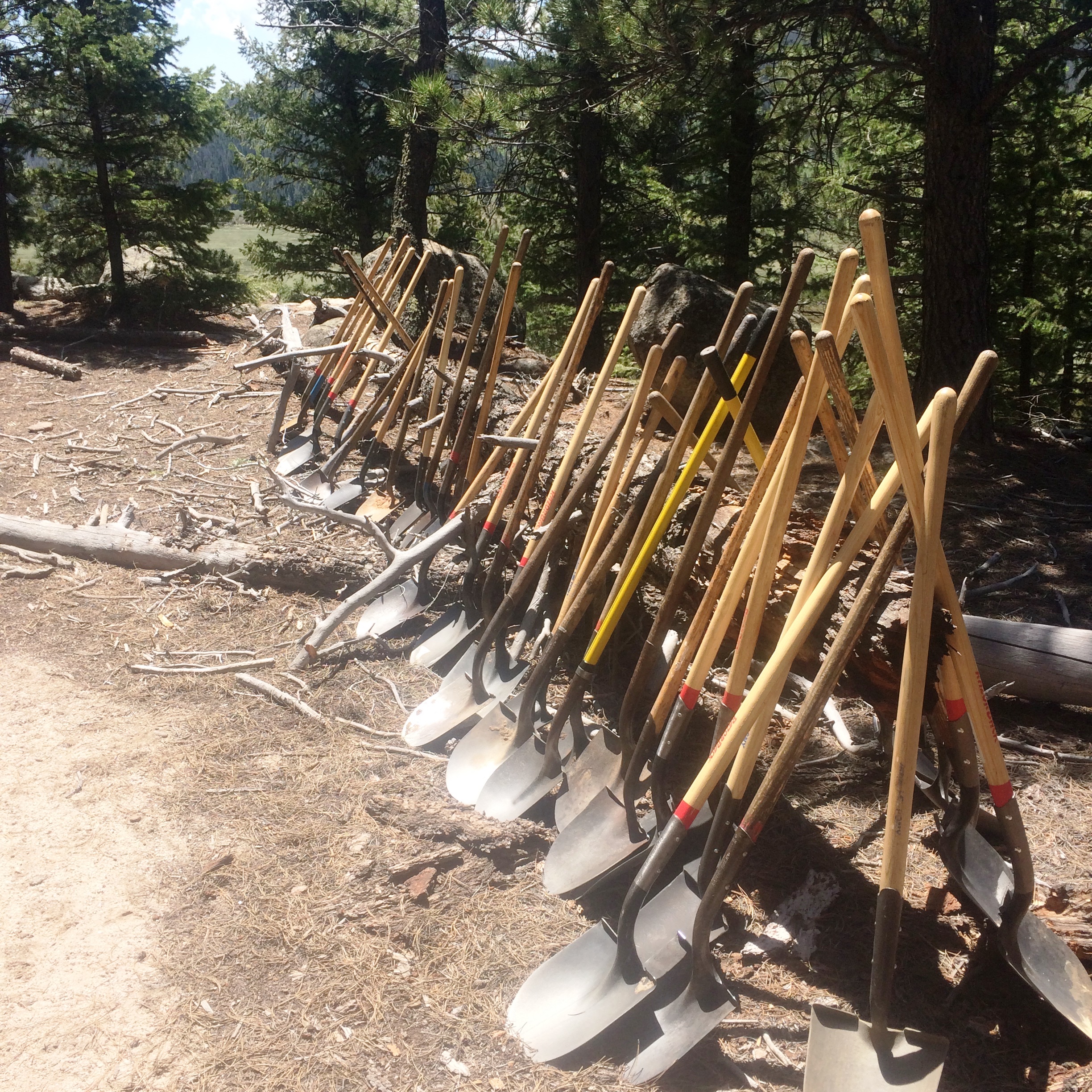 A row of shovels with wooden handles leaning against a wooden rail