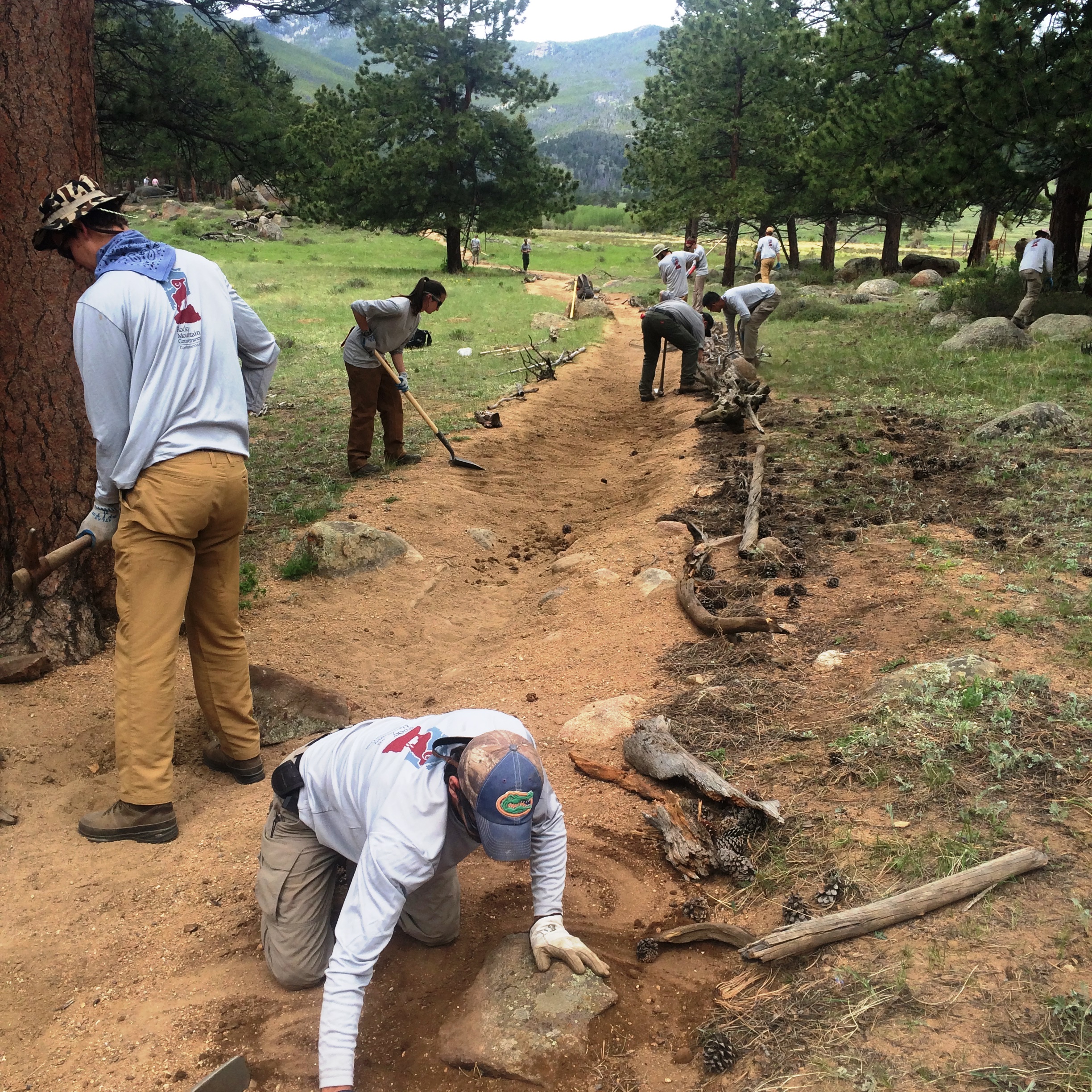 Volunteers work to maintain a dirt trail in a forested area