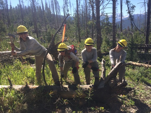 Four forest workers in helmets and work clothes posing with tools
