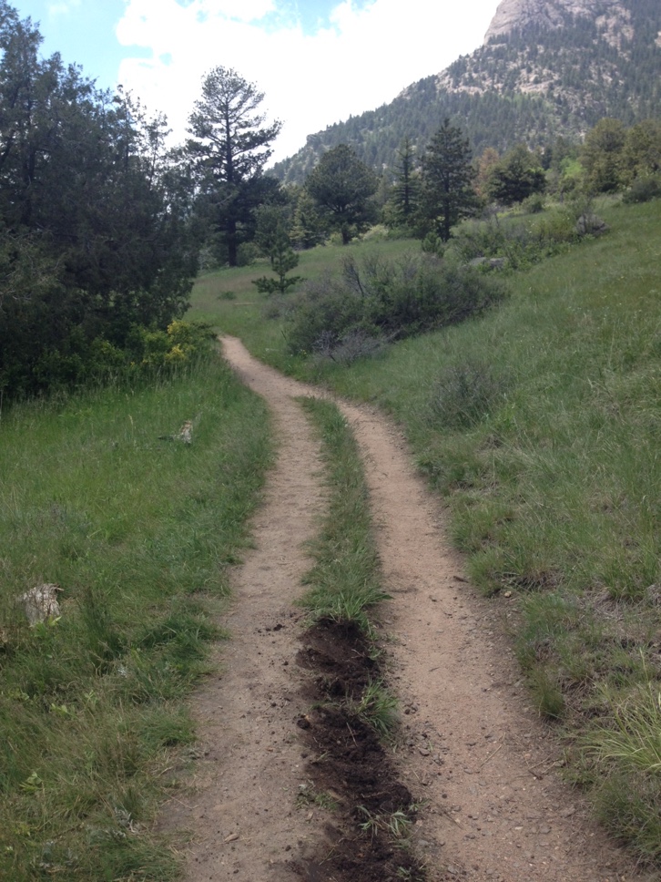 A dirt path splits into two trails in a grassy mountainous area, with one trail heading towards a forest and the other curving around a hill.