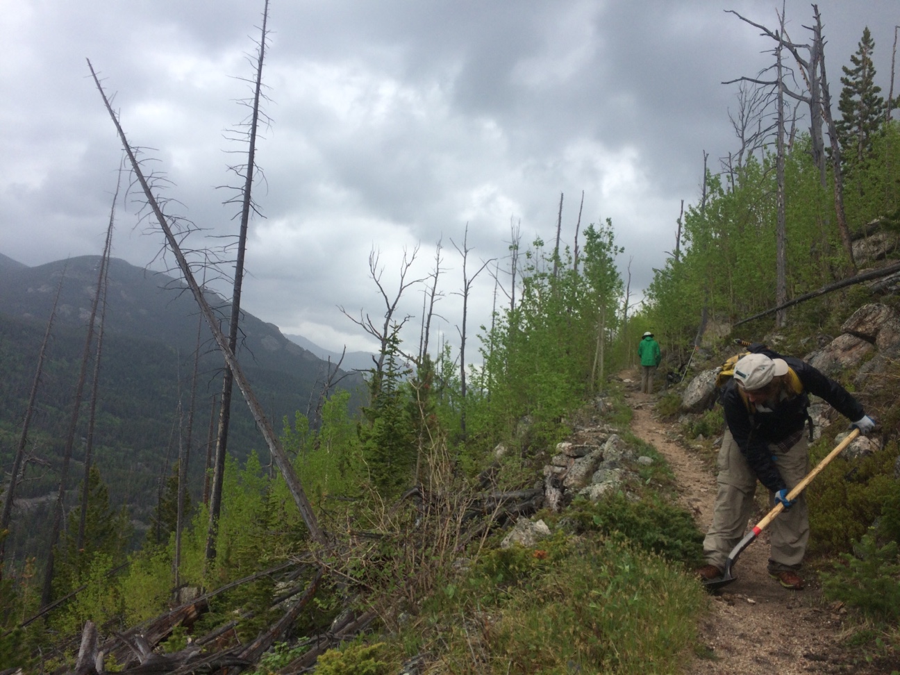 A person maintaining a hiking trail in a mountainous forest area