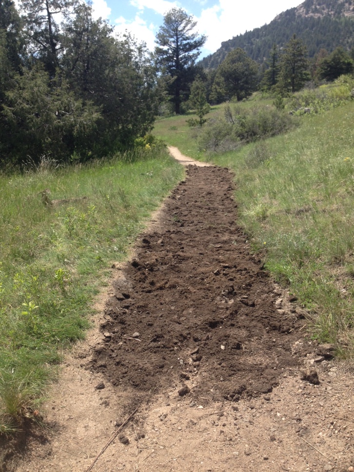 A narrow dirt path stretching up a hill, surrounded by lush green grass and trees under a clear sky.