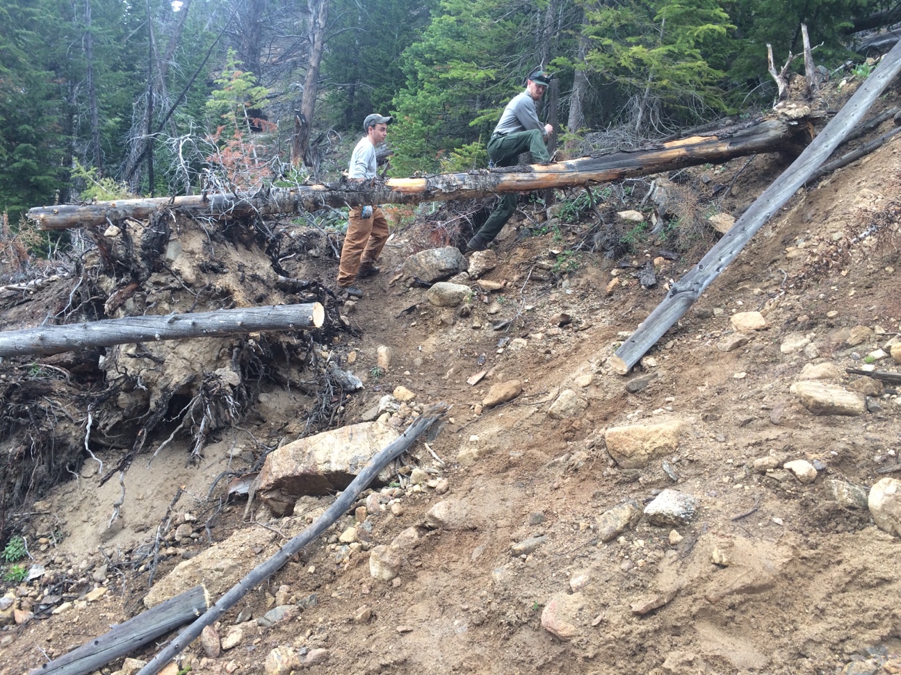 Two men clearing a fallen tree trunk on a rocky, forested hillside.