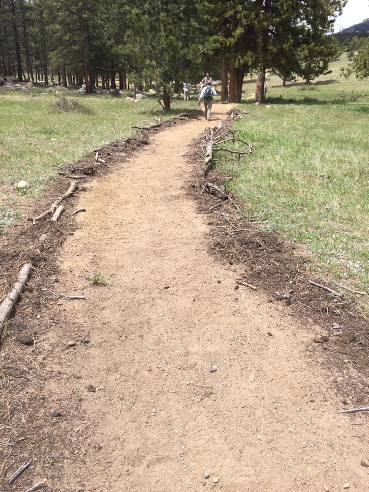 A dirt trail lined with fallen branches leads through a grassy field