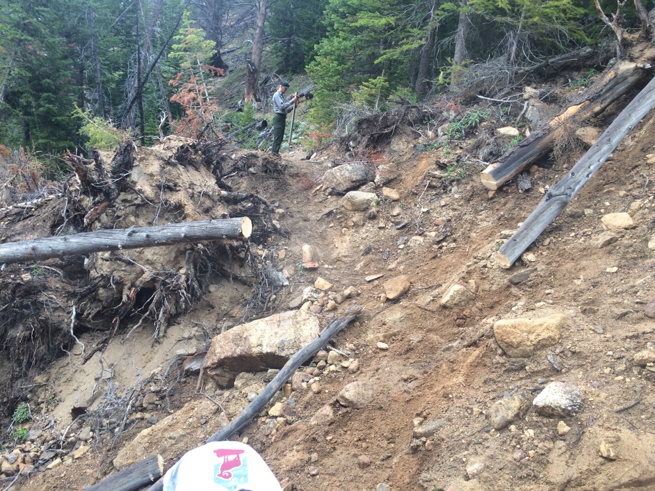 A man standing among debris in the forest
