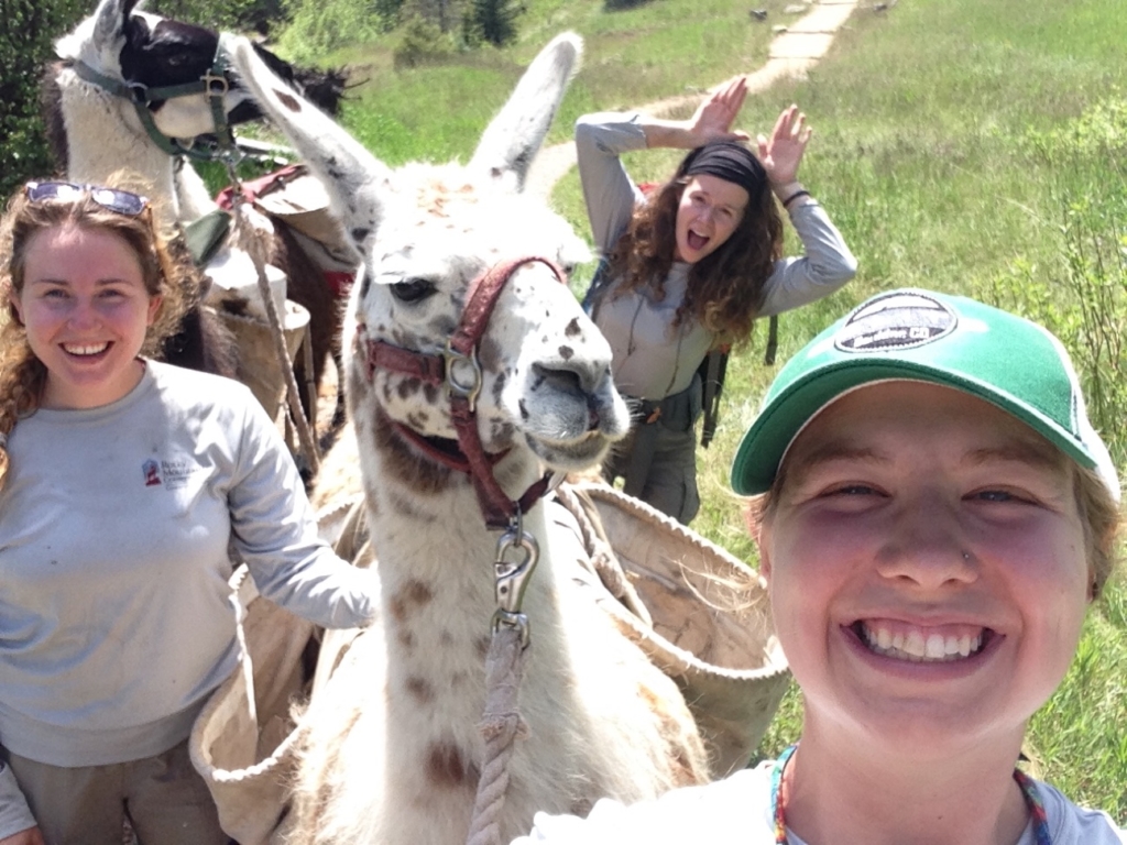 Three people on a sunny trail with two llamas