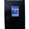 Bear Lake Pin