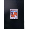 Scenic Icon Series pin featuring a stylized mountain design labeled "Pin - RMNP Longs Peak" on a black background.