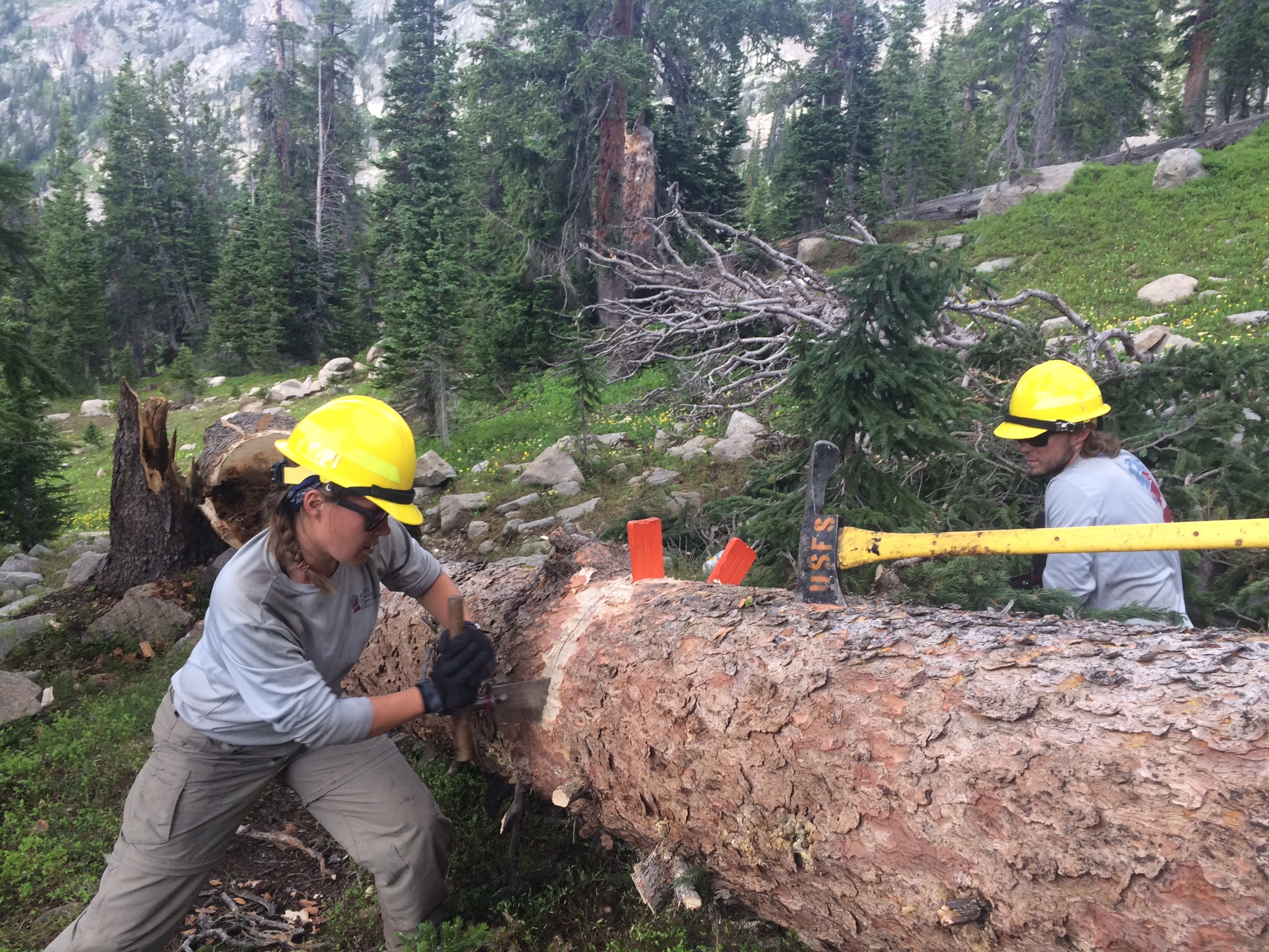 Amy and Blake clearing out a downed tree