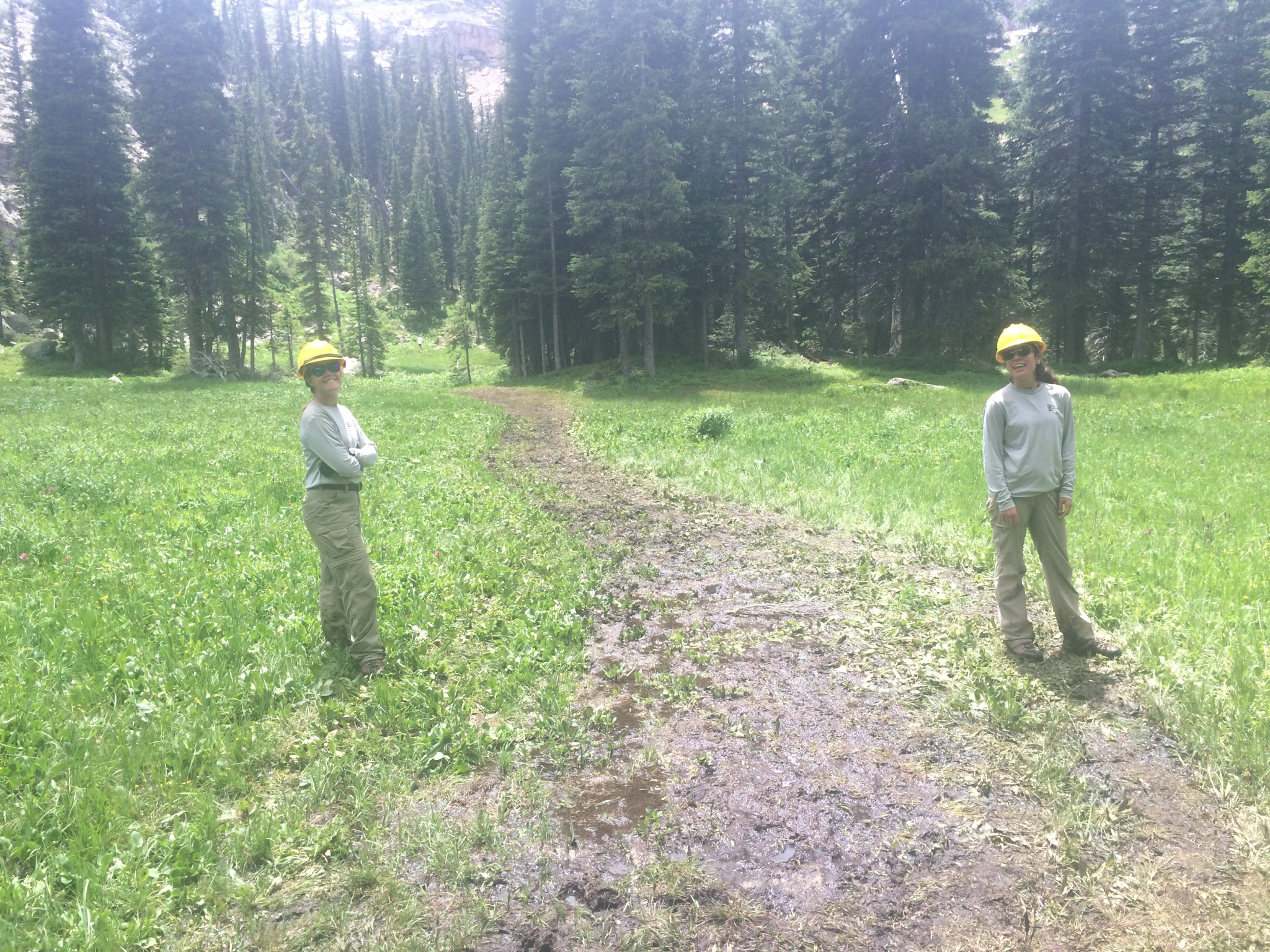 Two people in work uniforms and helmets standing in a lush green meadow with a forest in the background.