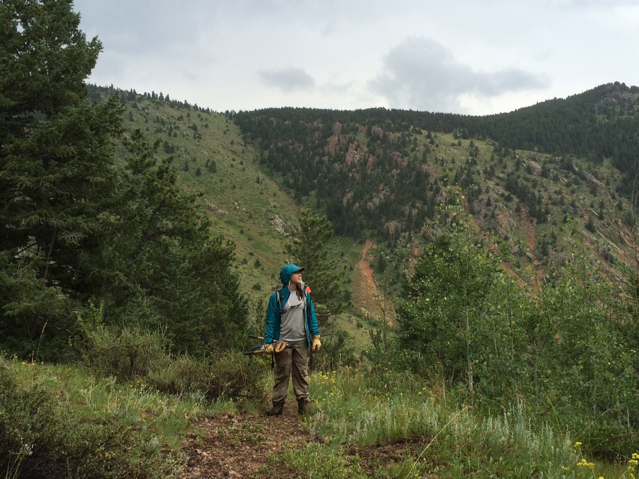 A hiker with a backpack stands on a trail in a lush, mountainous landscape, looking down, with overcast skies above.