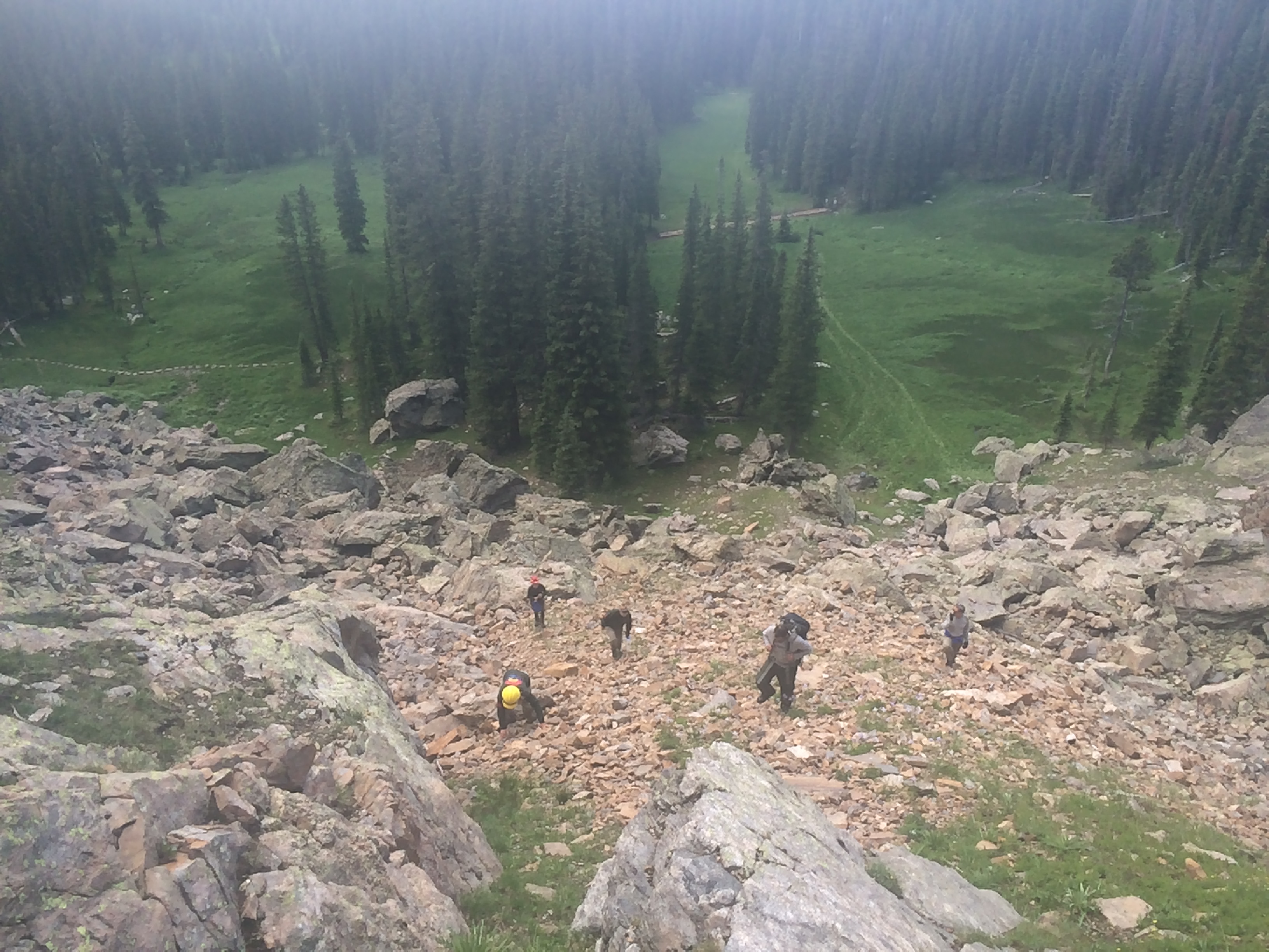 Hikers with backpacks crossing a rocky mountain slope with dense green forest and grassy areas in the background.