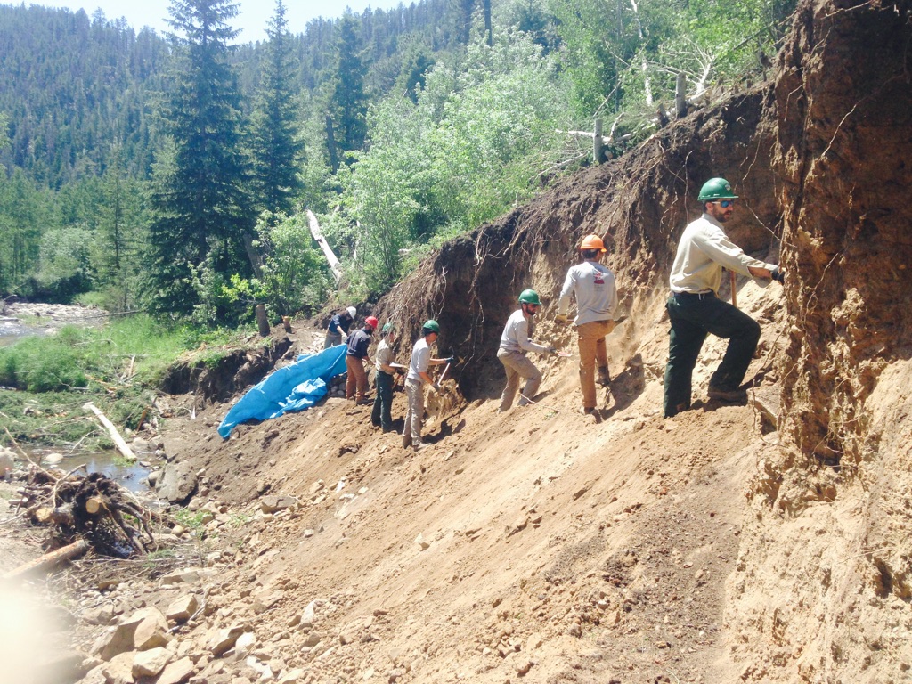 Workers in hard hats stabilize a hillside erosion by planting on a sunny day, near a river, with tools in hand.
