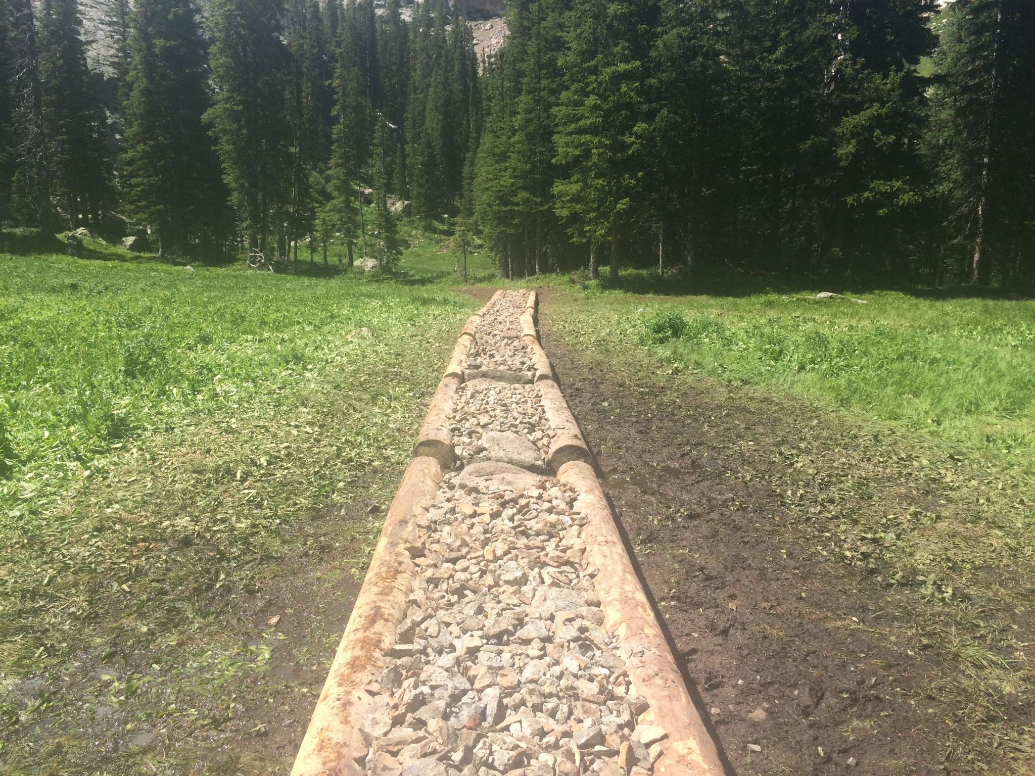 A narrow path made with wooden planks and rocks, leading through a lush green meadow with dense trees on either side.