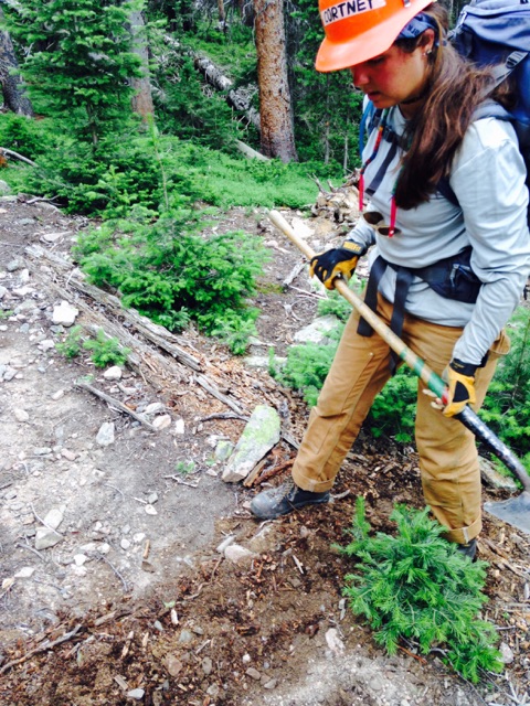 A woman with a pickaxe works on a forest trail, wearing a cap and backpack, surrounded by dense green trees.