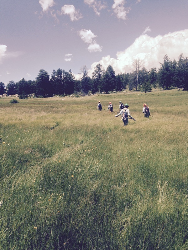 A group of hikers with backpacks walking through a grassy meadow with scattered trees under a cloudy sky.