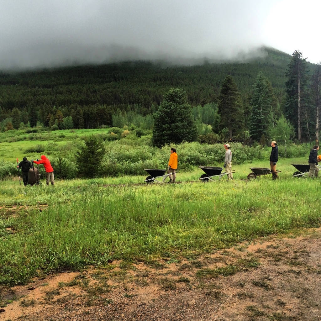 People using wheelbarrows in a lush green field