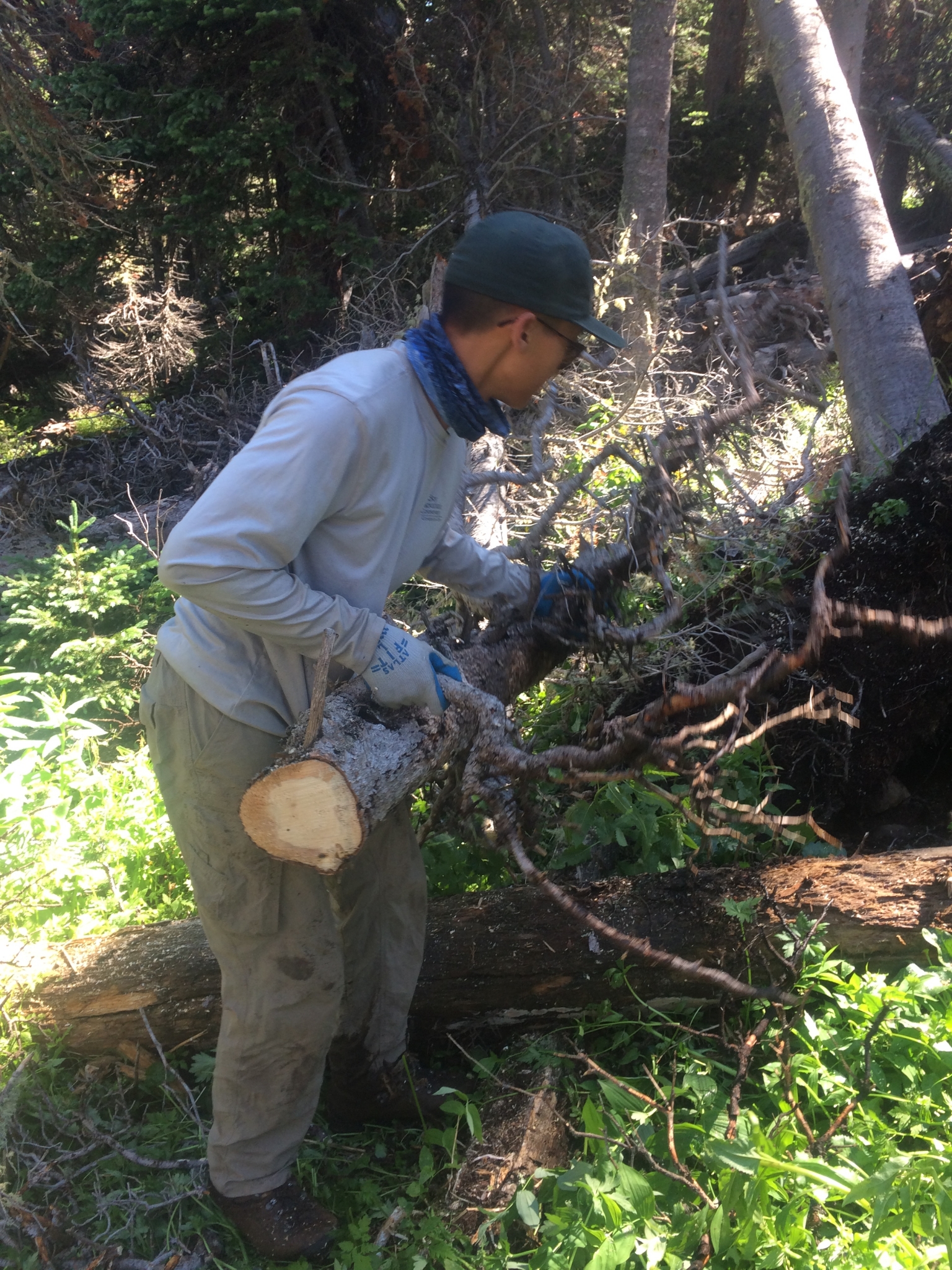 A person wearing a cap and long sleeves cuts a log with a handsaw in a forested area.